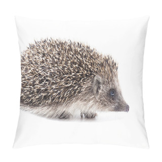 Personality  A Small Hedgehog Isolated On A White Background. Pillow Covers