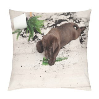 Personality  Chocolate Labrador Retriever Puppy With Overturned Houseplant At Home Pillow Covers