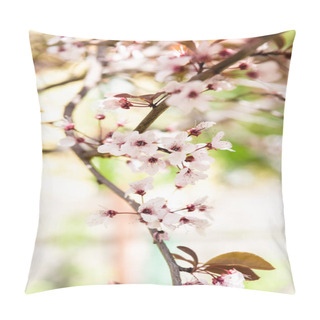 Personality  Close-up View Of Beautiful Blooming Cherry Tree Branch, Selective Focus Pillow Covers