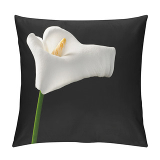 Personality  Beautiful White Calla Lily (Zantedeschia) Pillow Covers