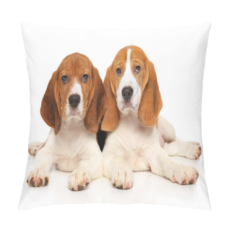 Personality  Beagle puppies on white background pillow covers