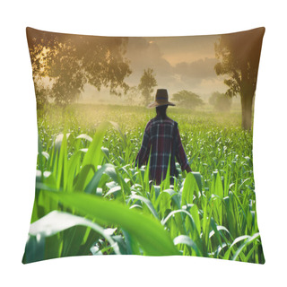 Personality  Farmer Woman Walking In Corn Fields At Early Morning Pillow Covers