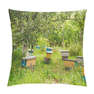 Personality  Hive Swarm, Make Increase From Colony, Make Up Nucleus, Rearing. Yellow Hives For Cuttings Of Honey Bees Nucleuses In Garden Among Grass Pillow Covers