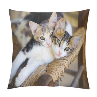 Personality  Two Cats Pillow Covers