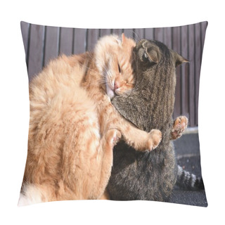 Personality  Cats Playing Game Pillow Covers