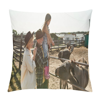 Personality  Grandmother Hugging Grandfather Holding In Arms His Granddaughter Feeding Donkeys In Paddock On Farm. Family Spending Time Together. Modern Countryside Lifestyle. Domestic Animal Care. Agriculture Pillow Covers