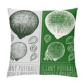 Personality  Vector Drawing GIANT PUFFBALL. Hand Drawn Illustration. The Latin Name Is CALVATIA GIGANTEA BATSCH. Pillow Covers