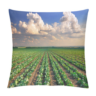Personality  Cabbage Field Pillow Covers