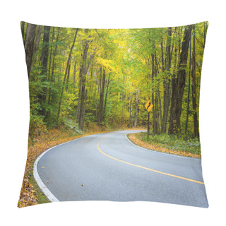 Personality  Curve On A A Mountain Road Pillow Covers