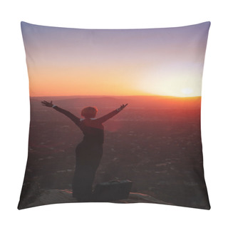 Personality  Silhouette Of Business Woman Pillow Covers