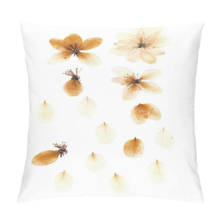 Personality  Transparent Dry Flowers Of Apple Pillow Covers
