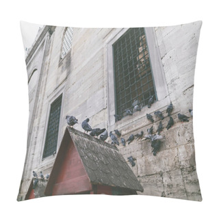 Personality  Pigeons Pillow Covers