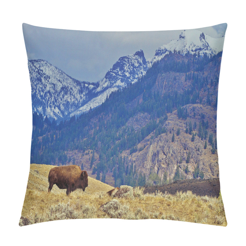 Personality  Bison and Snowy Mountains pillow covers