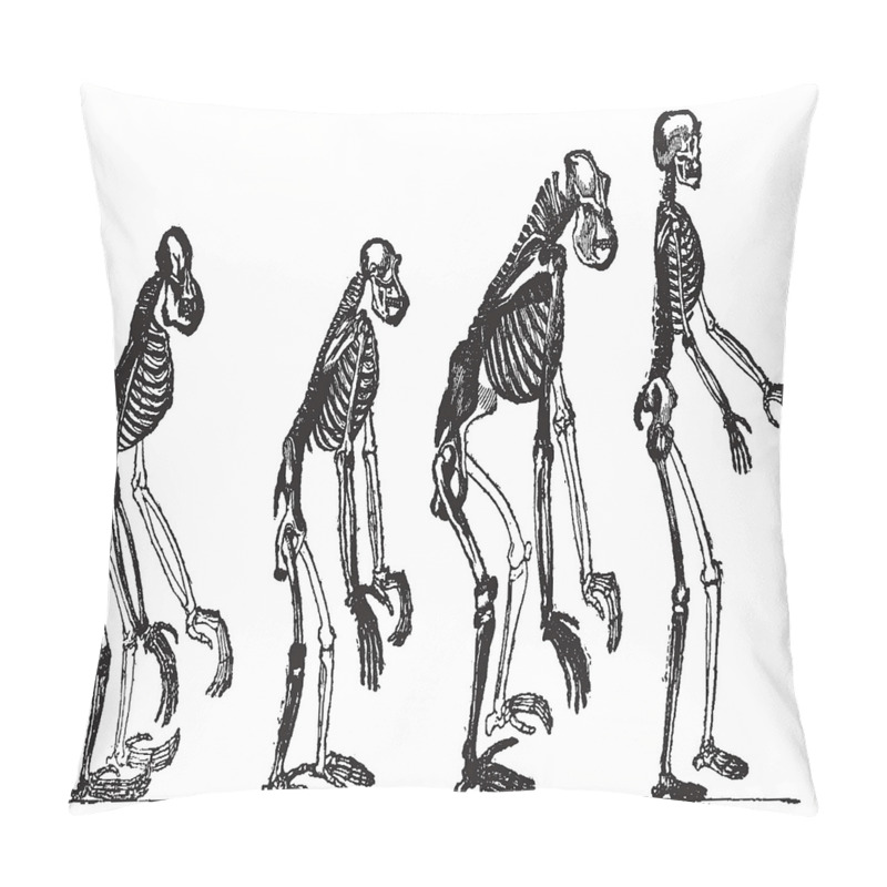 Personalise  Evolution Theme Ape to Man pillow covers