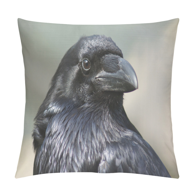 Personalise  Close up Bird Portrait pillow covers