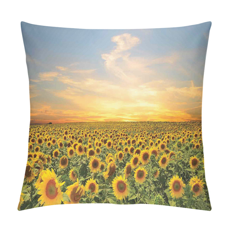 Customizable  Blooming Farm at Sunset pillow covers