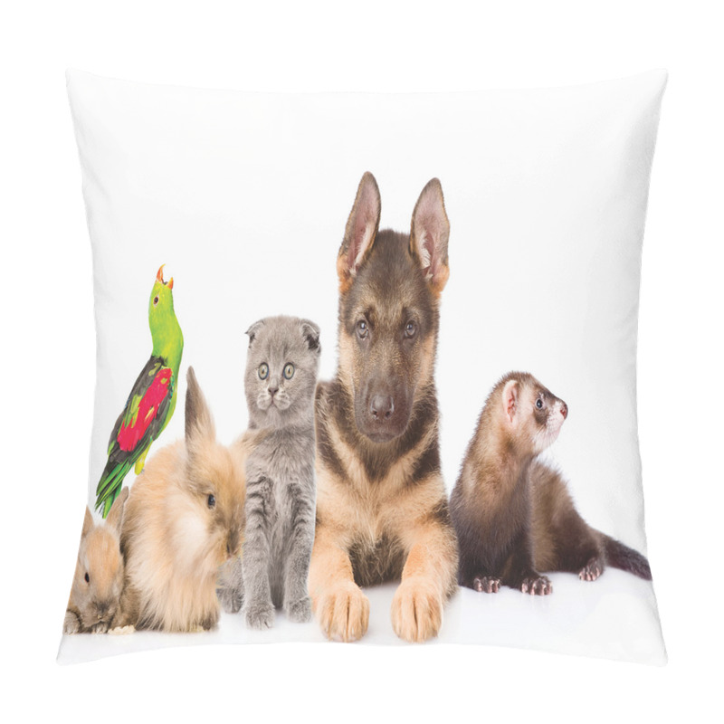 Personalise  Bunnies Cat Dog and Ferret pillow covers