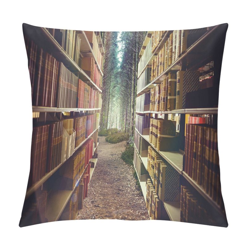 Custom  Abstract Library in Woods pillow covers