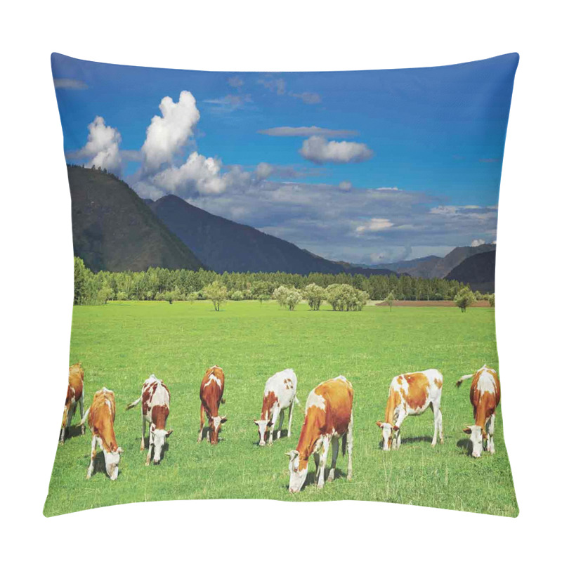 Personality  Mountains Grazing Cows pillow covers