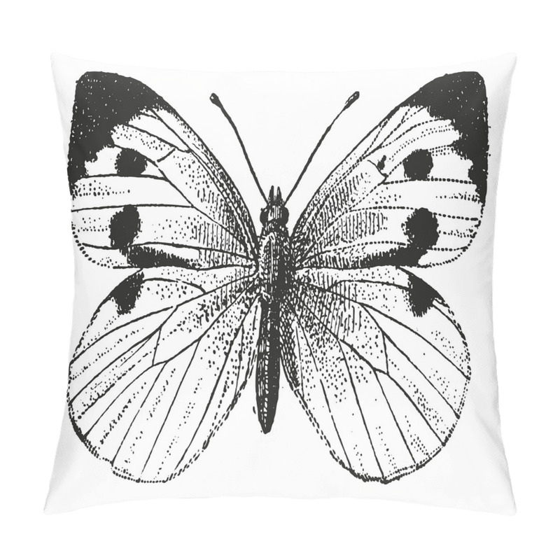 Personalise  Bug of the Spring Season pillow covers