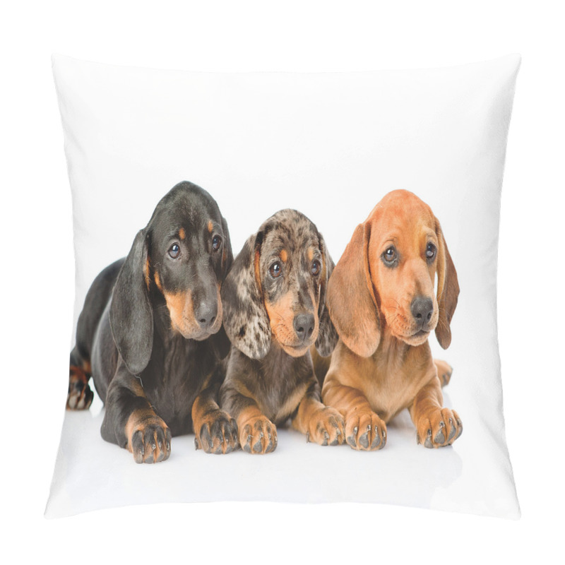 Personalise  Puppies Lying Together pillow covers