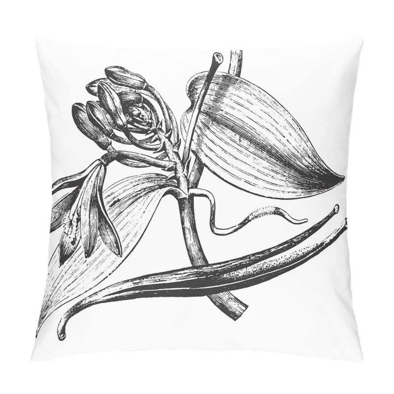 Custom  Vintage Engraved Flower Art pillow covers