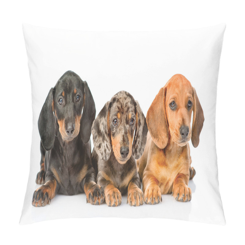 Personalise  Different Color Dogs Lays pillow covers