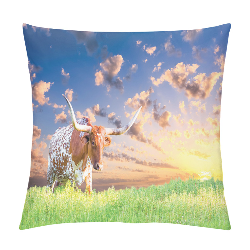 Personalise  Female Cow in Pasture Sky pillow covers