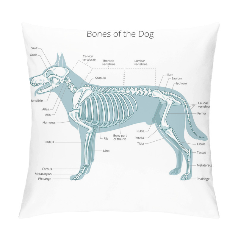 Custom  Bones of the Dog Table pillow covers