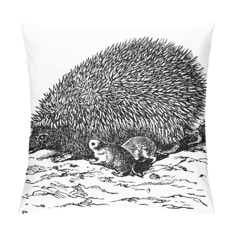 Personalise  European Hedgehog pillow covers
