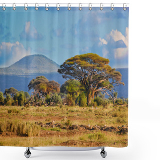 Personality  Savanna Landscape In Africa, Amboseli, Kenya Shower Curtains
