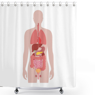 Personality  Human Internal Organs Vector Shower Curtains
