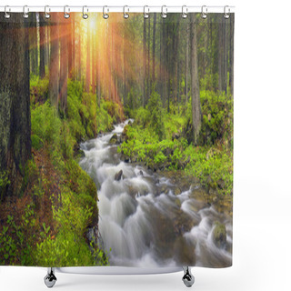 Personality  Wild Forest  Creek Shower Curtains