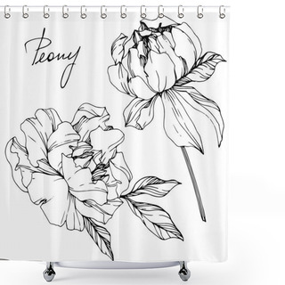 Personality  Vector Isolated Monochrome Peony Flowers Sketch And Handwritten Lettering On White Background. Engraved Ink Art.  Shower Curtains