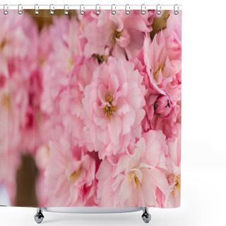 Personality  Close Up View Of Blossoming Pink Flowers Of Cherry Tree Shower Curtains