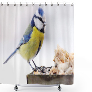 Personality  Great Tit On The Bird Table Shower Curtains
