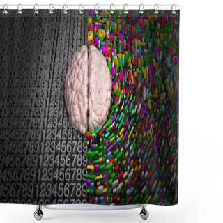 Personality  Left Brain & Right Brain Shower Curtains