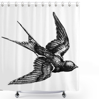Personality  Vintage Bird Shower Curtains