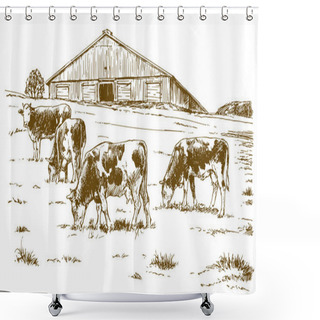 Personality  Cows Grazing On Meadow. Hand Drawn Illustration. Shower Curtains