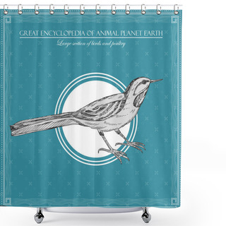 Personality  Great Encyclopedia Of Animal Planet Earth, Vintage Bird Illustration Shower Curtains
