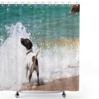 Personality  Sea, Ocean, Wave Shower Curtains