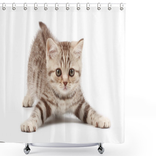 Personality  Kitten Shower Curtains