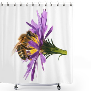Personality  Honey Bee On Violet Flower Isolated On White Background Shower Curtains