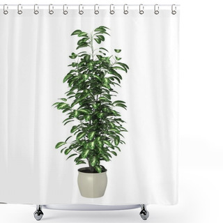 Personality  Potted Plant Shower Curtains