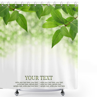 Personality  Green Leaves Border Shower Curtains