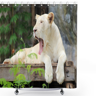 Personality  White Lion  Shower Curtains