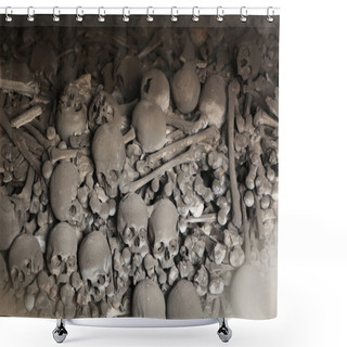 Personality  Human Bones And Skulls Shower Curtains