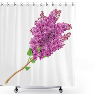 Personality  Blooming Lilacs Shower Curtains