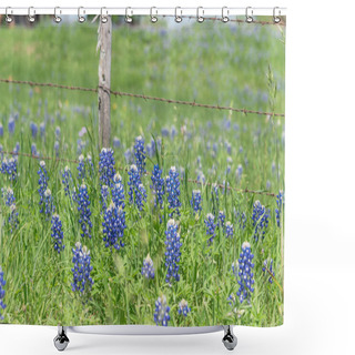 Personality  Bluebonnet Fields Along Rustic Steel Wired Fence In Countryside Of Texas, America Shower Curtains