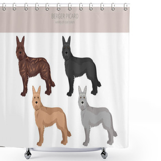 Personality  Berger Picard Clipart. Different Coat Colors And Poses Set.  Vector Illustration Shower Curtains